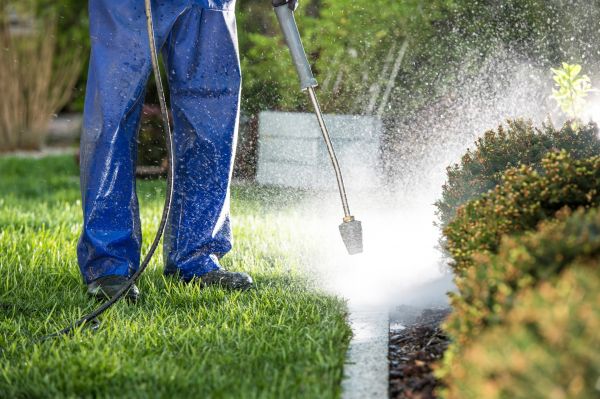 Cost of Curb Cleaning in Woodinville