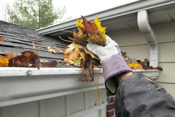 Cost of Eaves Cleaning in Woodinville
